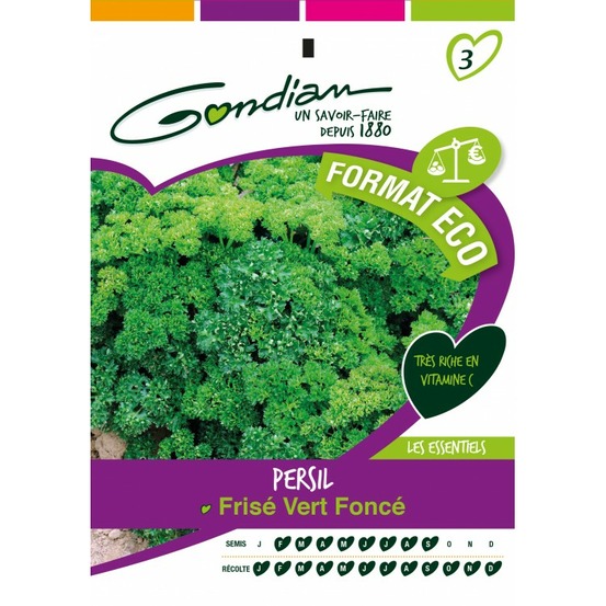 Persil frisé vert foncé