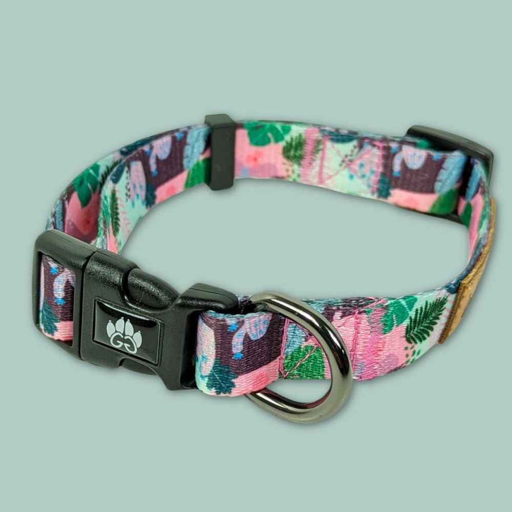 Collier pour chien cactus - l