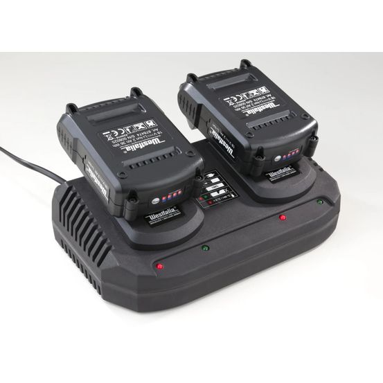 Lot de 2 batteries 18 v 2 ah avec 1 double chargeur rapide
