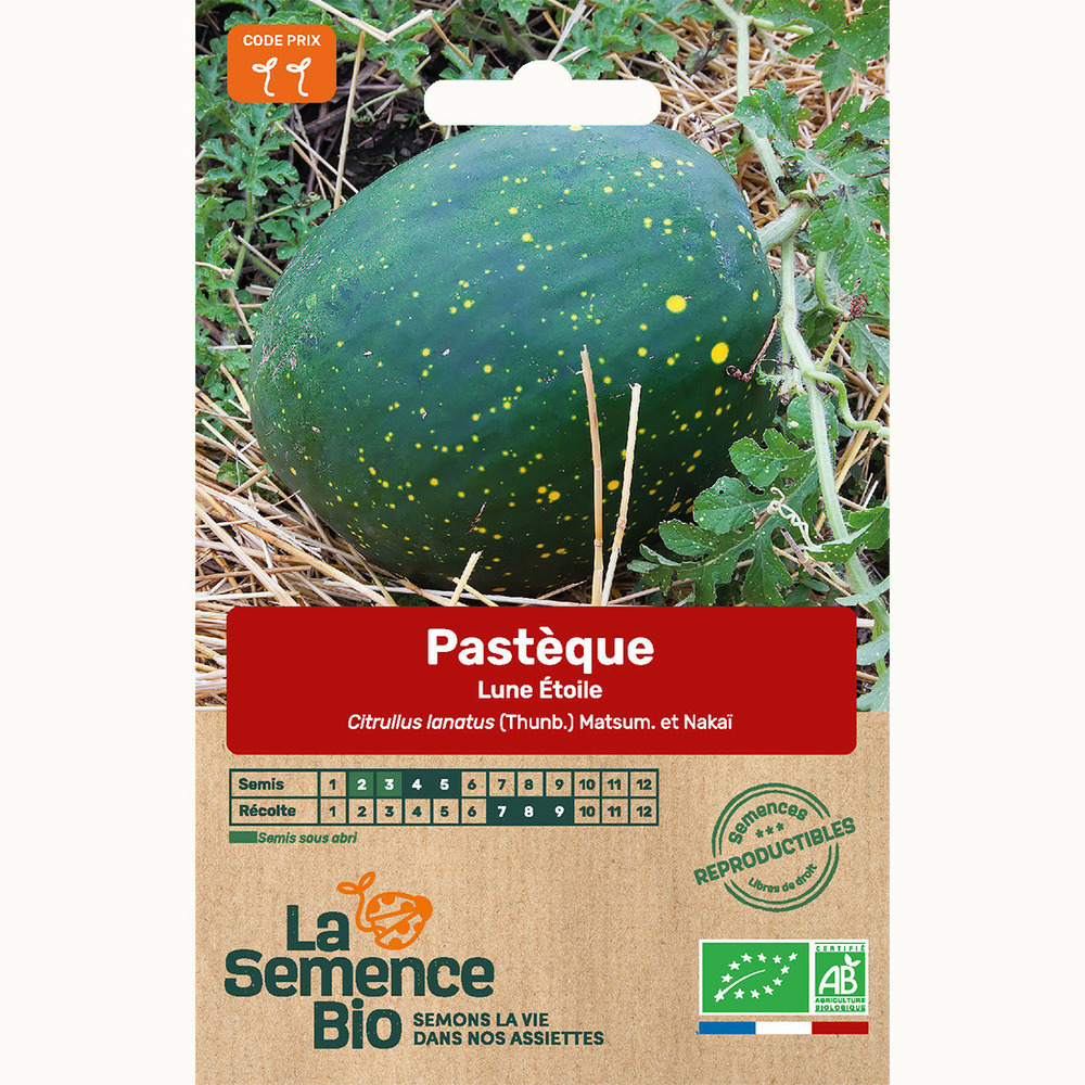 Pastèque lune étoile - graines bio