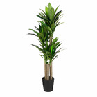 Mica decorations plante artificielle dracaena - 60x60x150 cm - plastique - vert