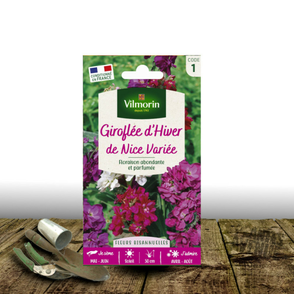 Graines de giroflée d'hiver de nice - vilmorin sachet