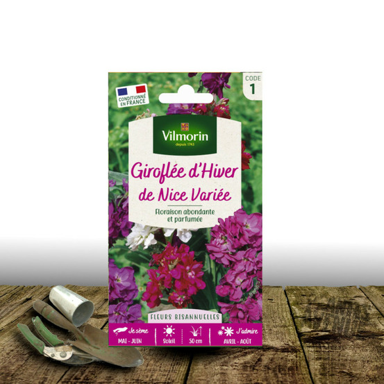 Graines de giroflée d'hiver de nice - vilmorin sachet
