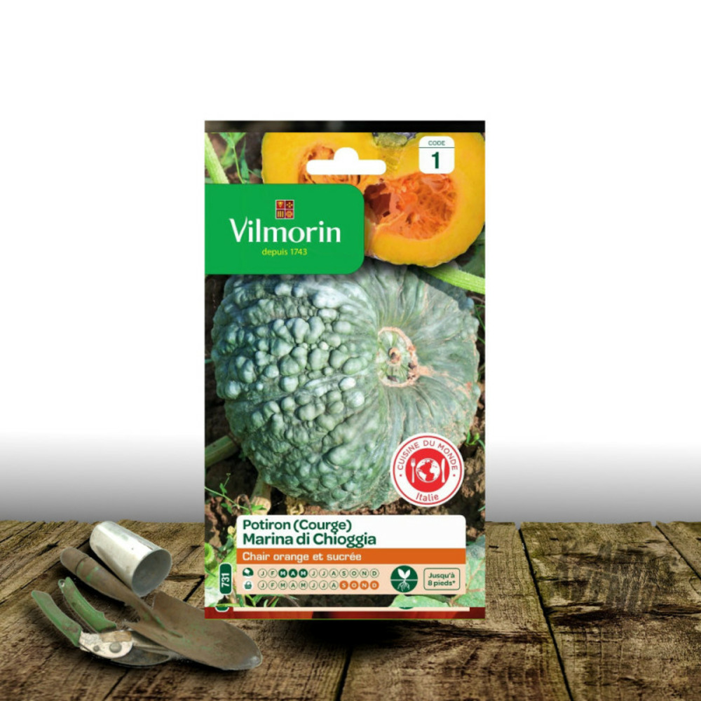 Graines de potiron marina di chioggia - vilmorin sachet
