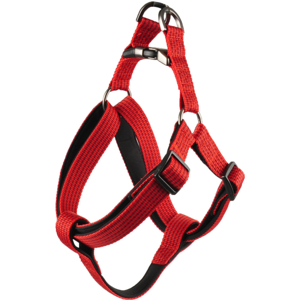 Harnais jannu xs 20-35 cm 15 mm rouge pour chien