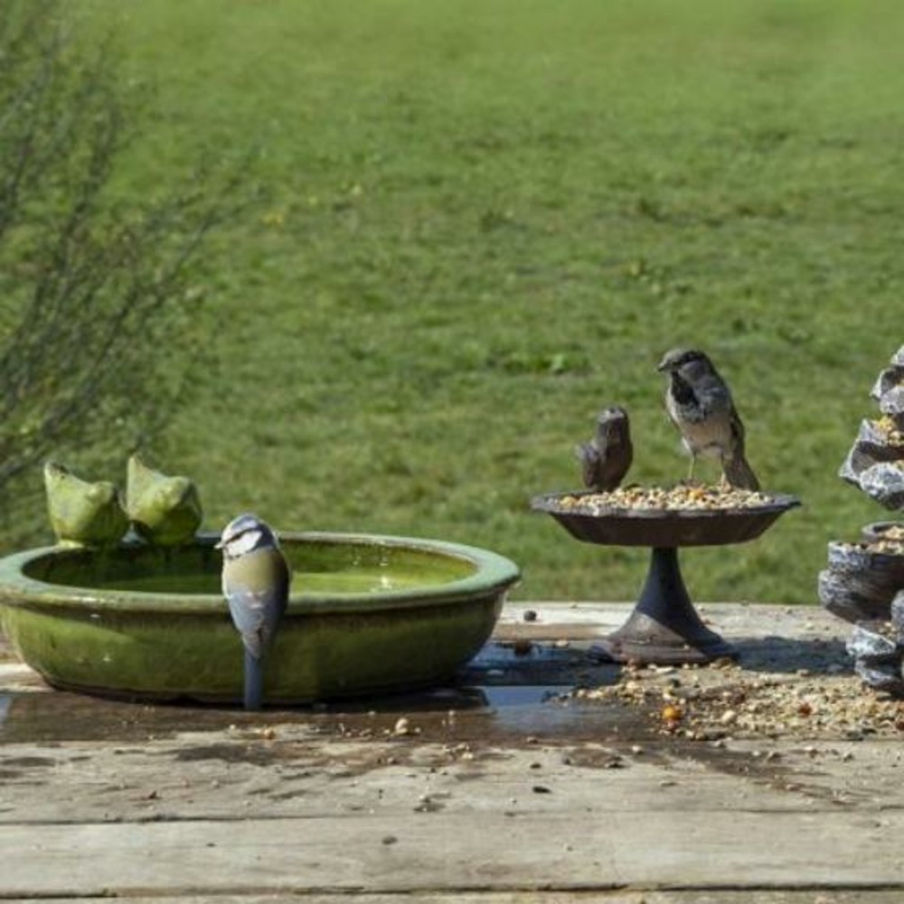 Bain d'oiseaux ou mangeoire grand modèle en céramique vert