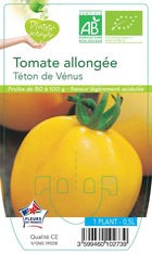 Tomate téton de vénus -plant ab en  pot 0.5 l-plante du jardin