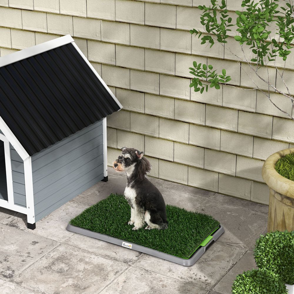 Toilettes chien gazon artificiel intérieur apprentissage propreté 67x41cm - comfortxl pet living