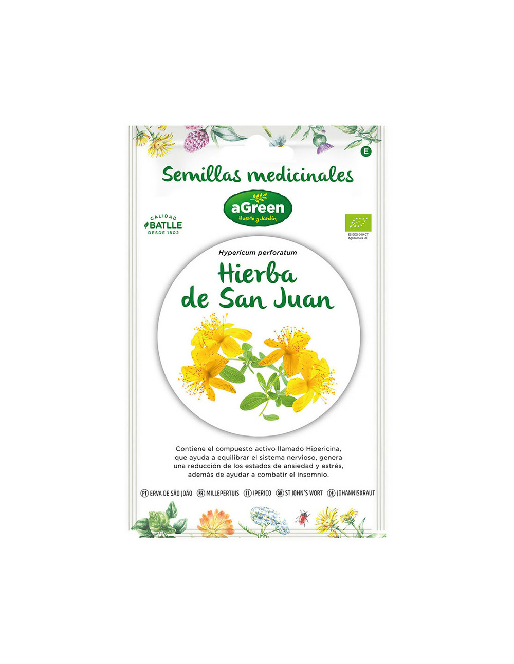 À propos des graines de millepertois médicinaux eco 857013bolsh agreen - agreen