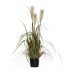 Mica decorations - herbe fogtail artificielle en pot h81