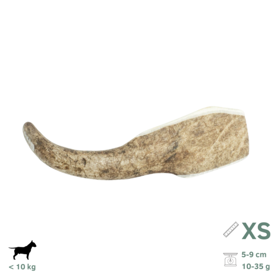 Bois de daim pour chien xs 5-9 cm