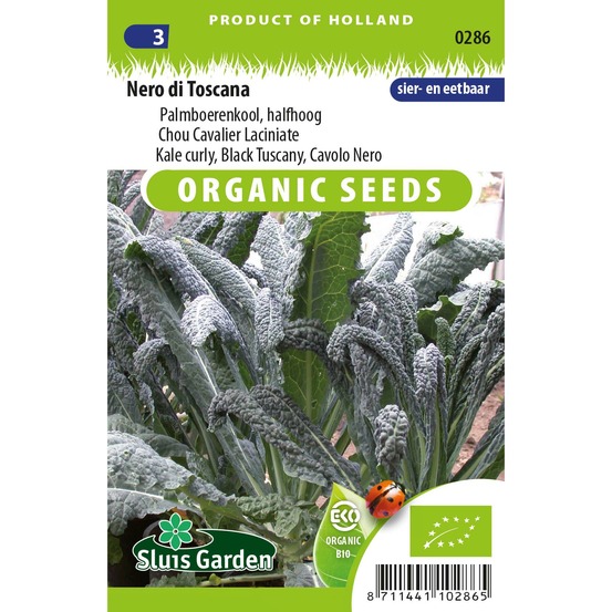 Chou palmier 'noir de toscane' le sachet de 150 graines environ (0,7g)