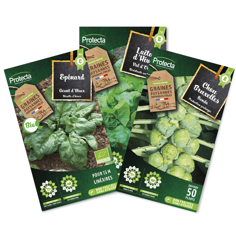 Pack hiver/automne - epinard géant bio, laitue d'hiver, chou de bruxelles