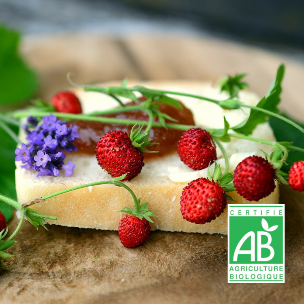 Graines de fraisier des bois - - sans traitement - vilmorin sachet