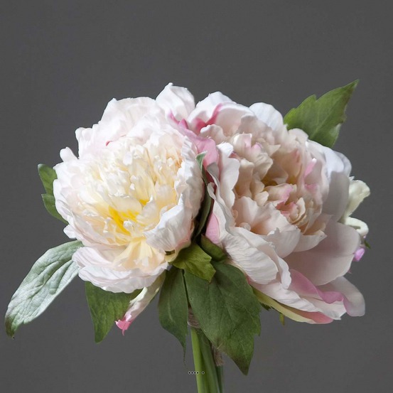Bouquet de 3 Pivoines Rose epanouies