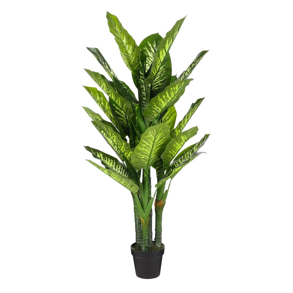 Plante artificielle dieffenbachia h150x70cm - vert