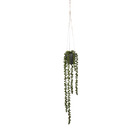 Mica decorations - senecio artificielle à suspendre vert en pot h56