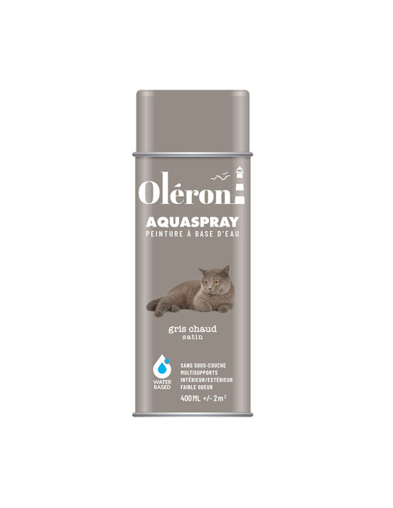 Aérosol technima aquaspray oléron gris chaud satiné 400ml - technima