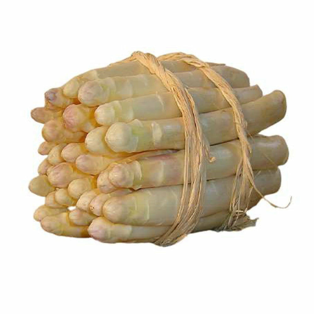 10 asperges argenteuil - le paquet de 10 griffes de 2 ans