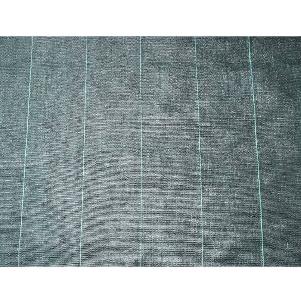 Bâche de sol de contrôle des mauvaises herbes 1x10 m noir