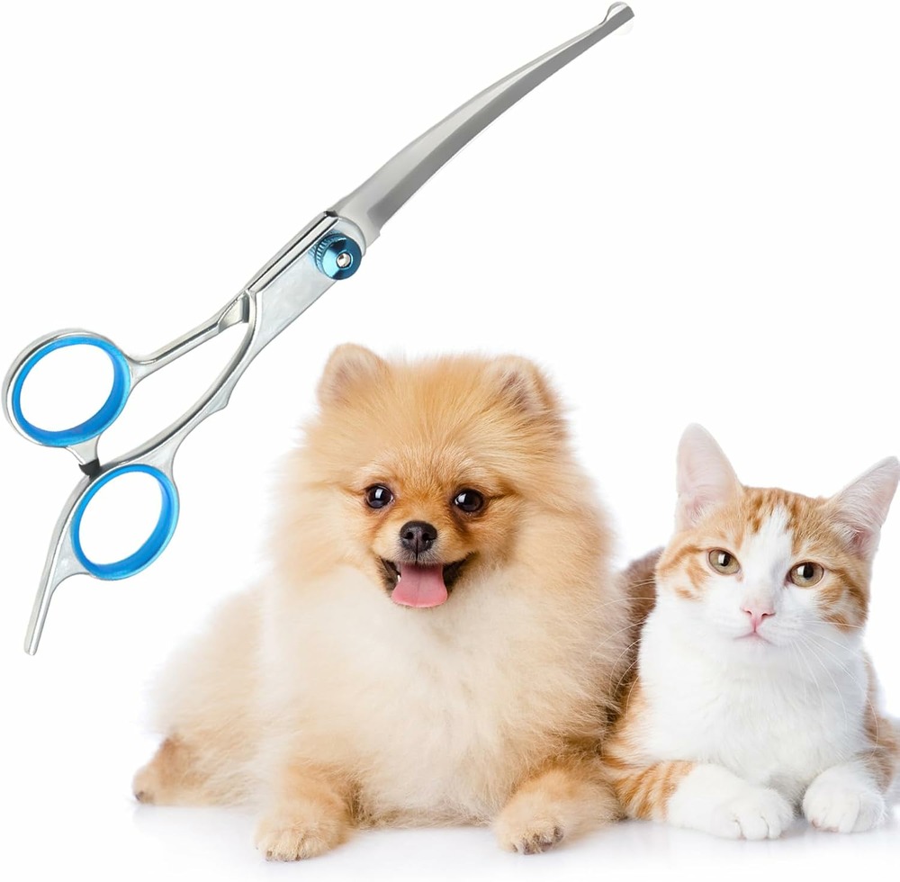Ciseaux courbes pour toilettage d'animaux – acier inoxydable avec pointe de sécurité arrondie
