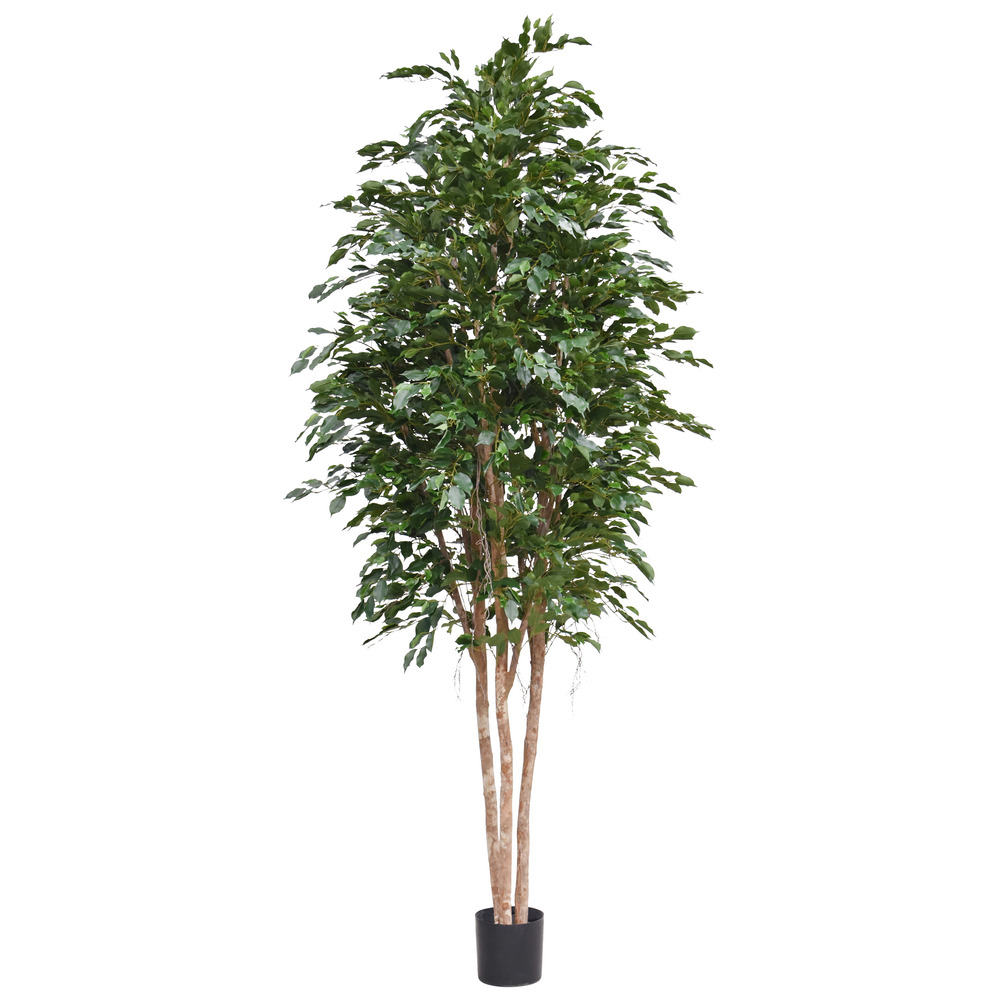 Ficus exotica artificiel deluxe 300cm vert