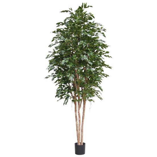Ficus exotica artificiel deluxe 300cm vert