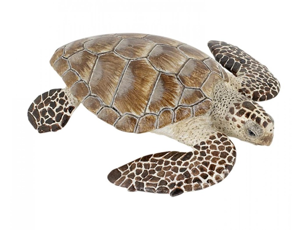 Figurine tortue caouanne