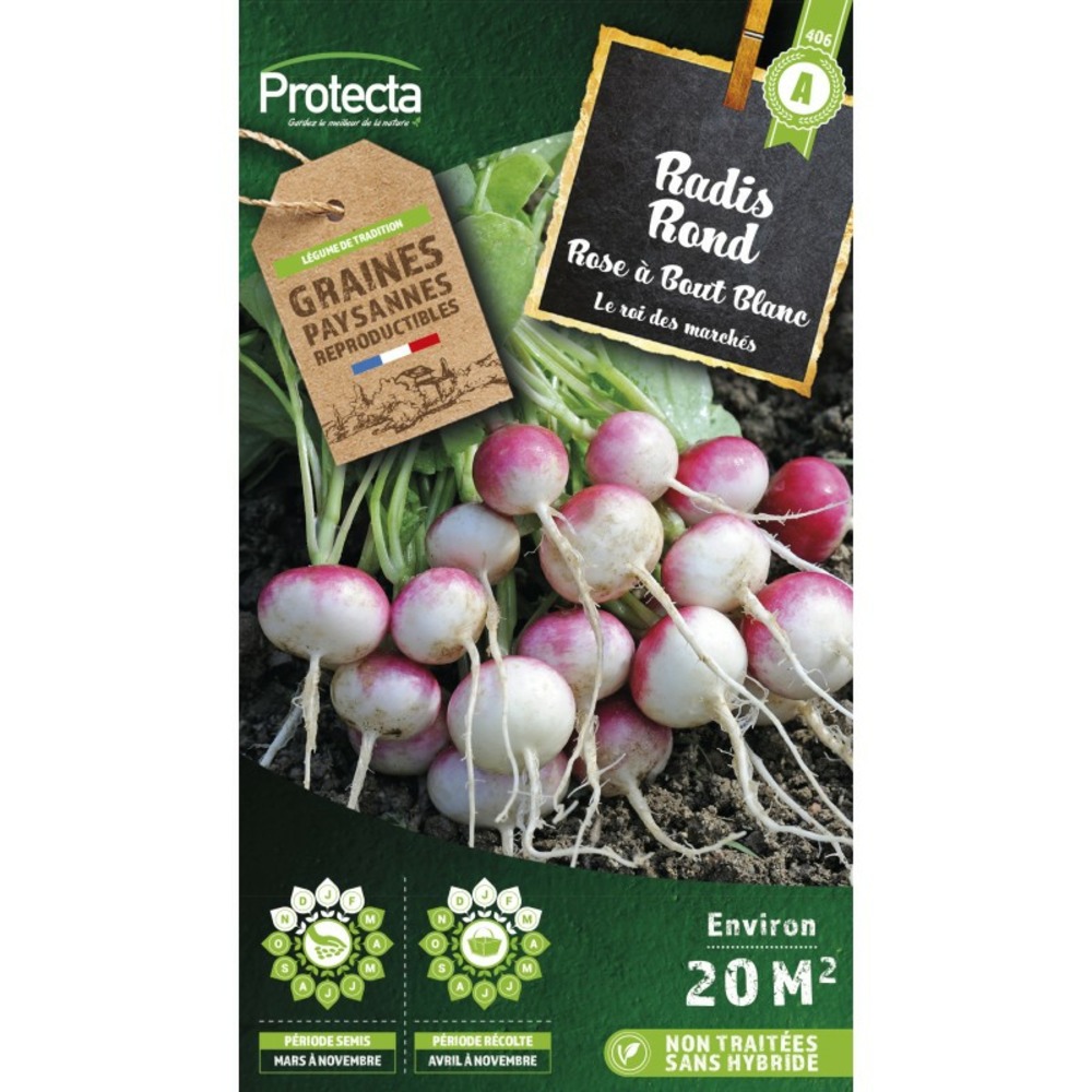 Graines paysannes - radis rond rose à bout blanc