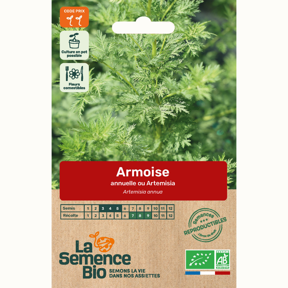 Armoise annuelle bio
