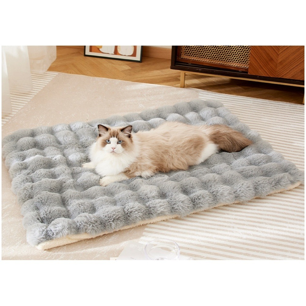 Lit coussin moelleux pour chat et chat gris moderne élégant