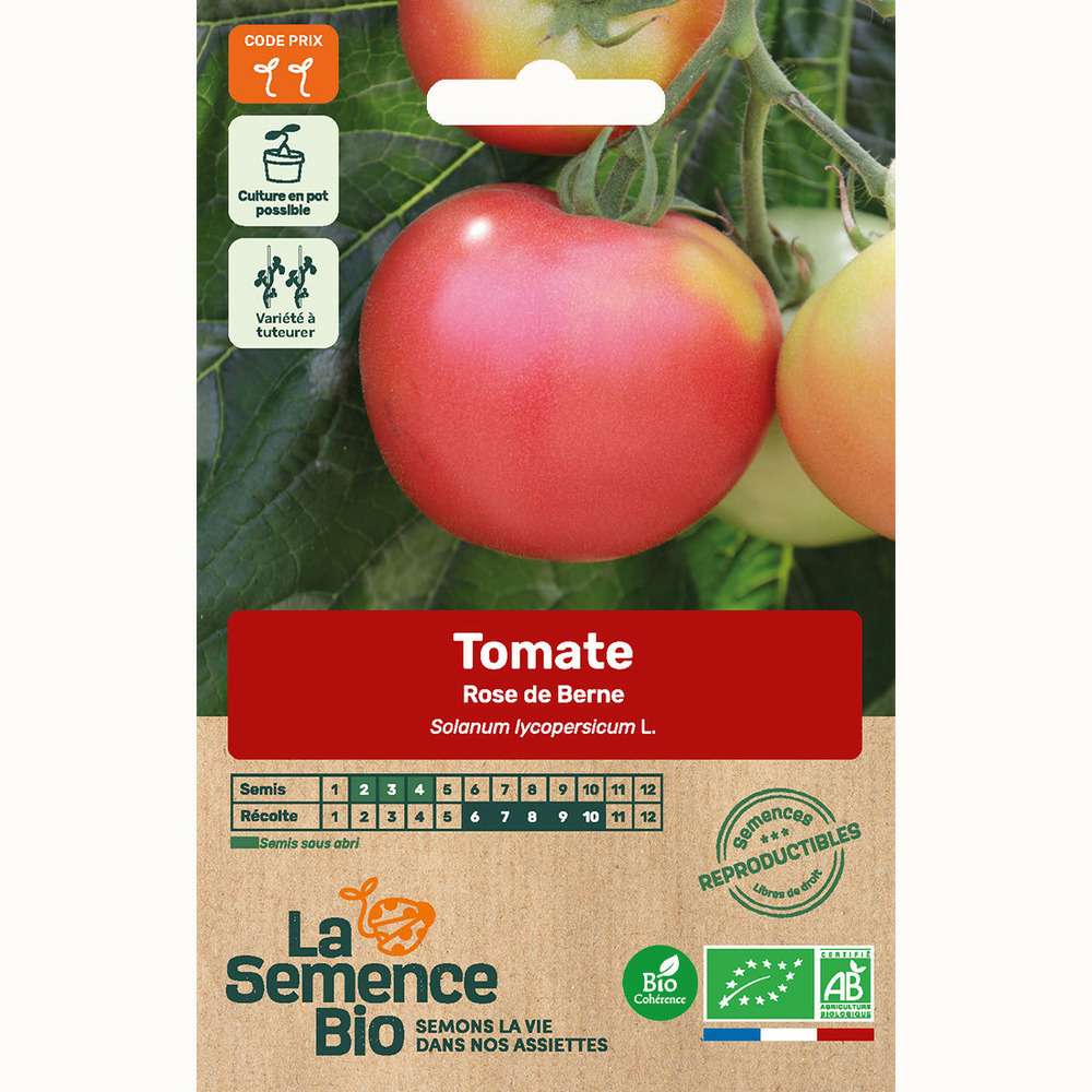 Tomate rose de berne - graines bio