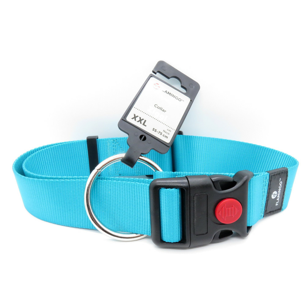 Collier ziggi turquoise 55 -75 cm 40 mm taille xxl pour chien