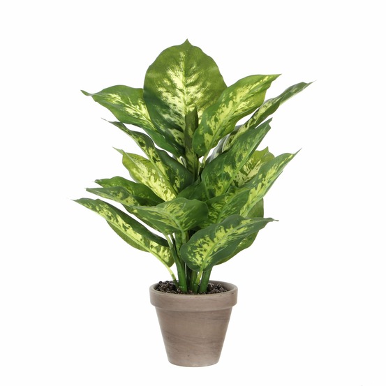 Mica decorations plante artificielle dieffenbachia - h40 cm - vert