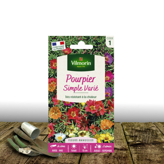 Graines de pourpier simple varié - vilmorin sachet