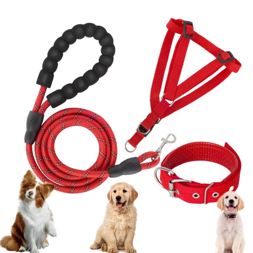 Laisse pour chien ensemble rouge trois pièces-corde + collier + harnais de poitrine