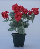 Composition fleurs artificielles cimetière pot géraniums h39 cm l27 cm rouge - c