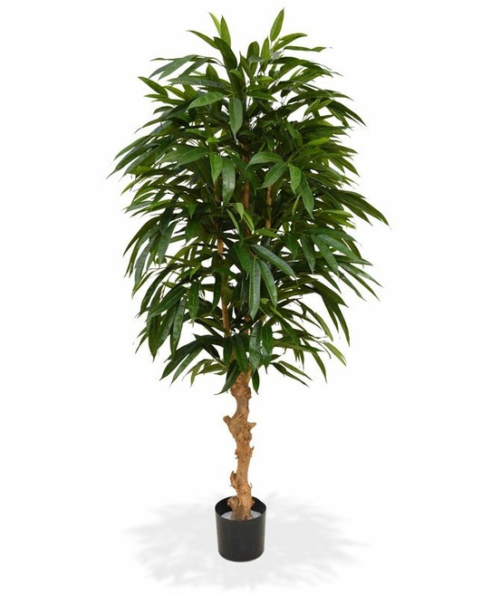 Longifolia royal arbre deluxe artificiel 165 cm