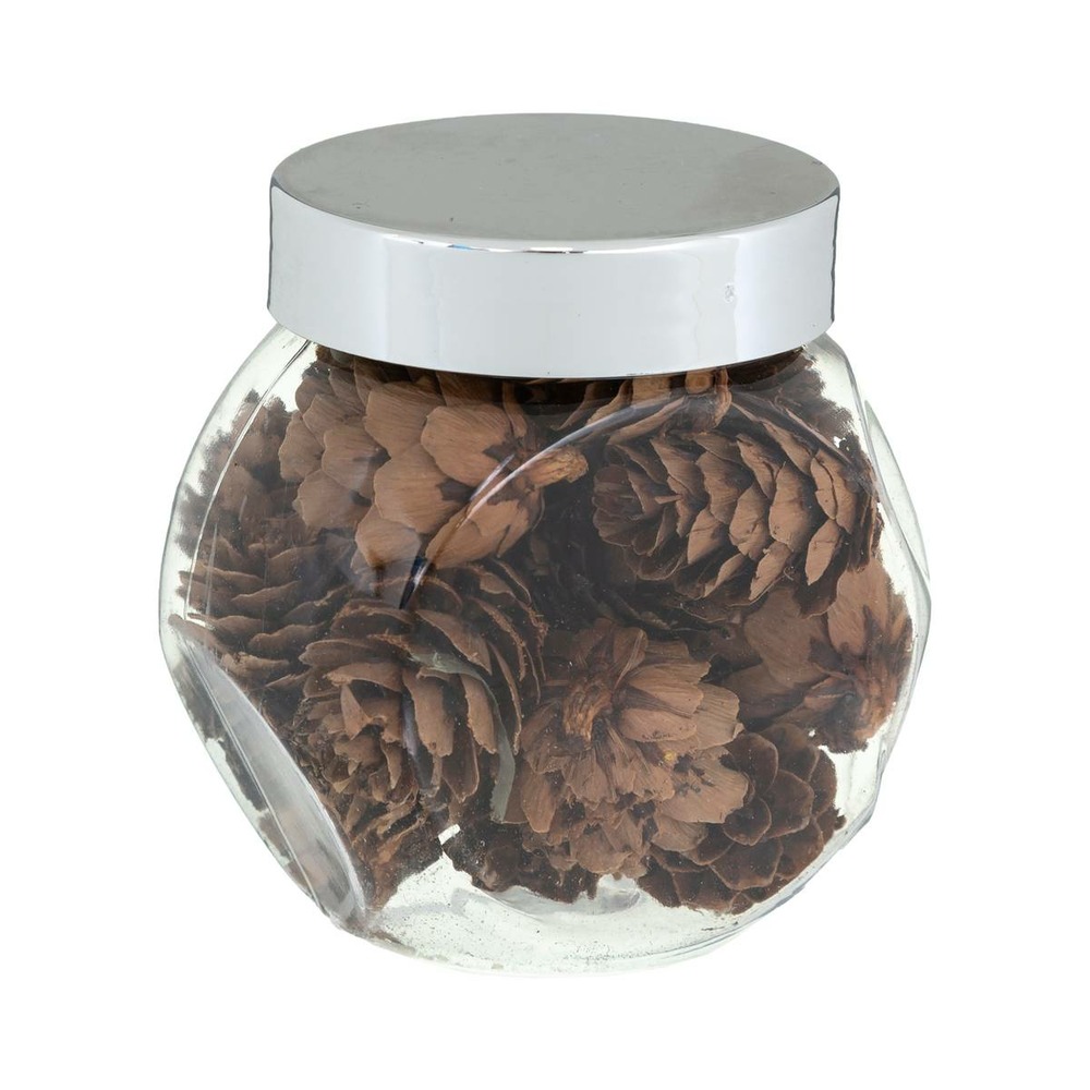 Bocal pomme de pin x 24