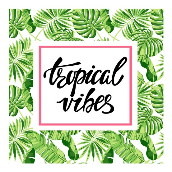 Lot de 20 serviettes papier vibes