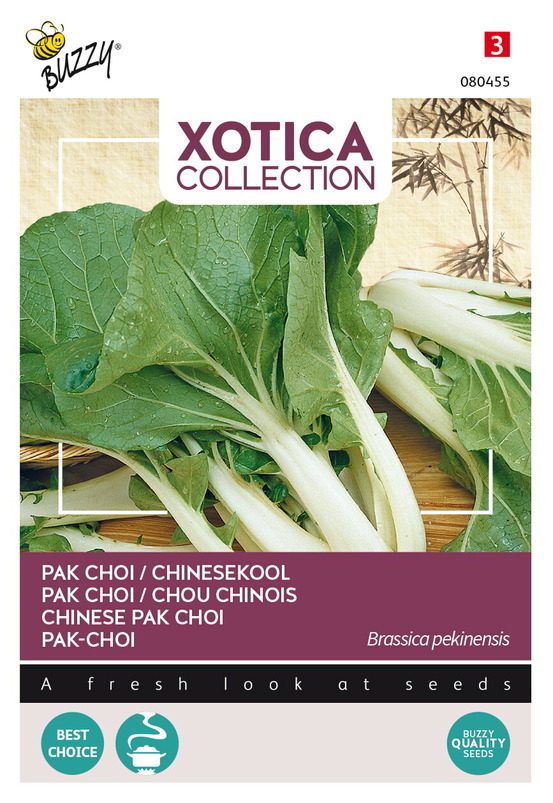 Buzzy xotica chou chinois pak choi - ca. 2 gr (livraison gratuite)