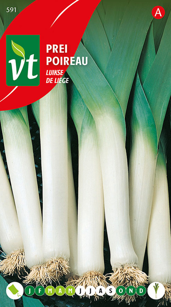 Poireau de liege - ca. 5 gr (livraison gratuite)