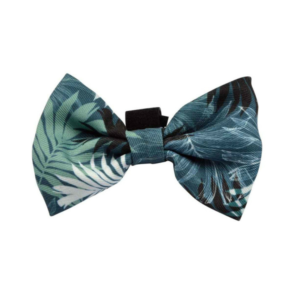 Nœud papillon pour chien 