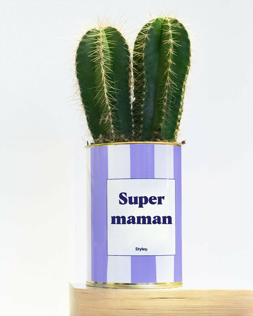 Plante personnalisée - super maman - cactus