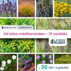 Kit talus méditerranéen - 10 variétés - lot de 30 plants en godet