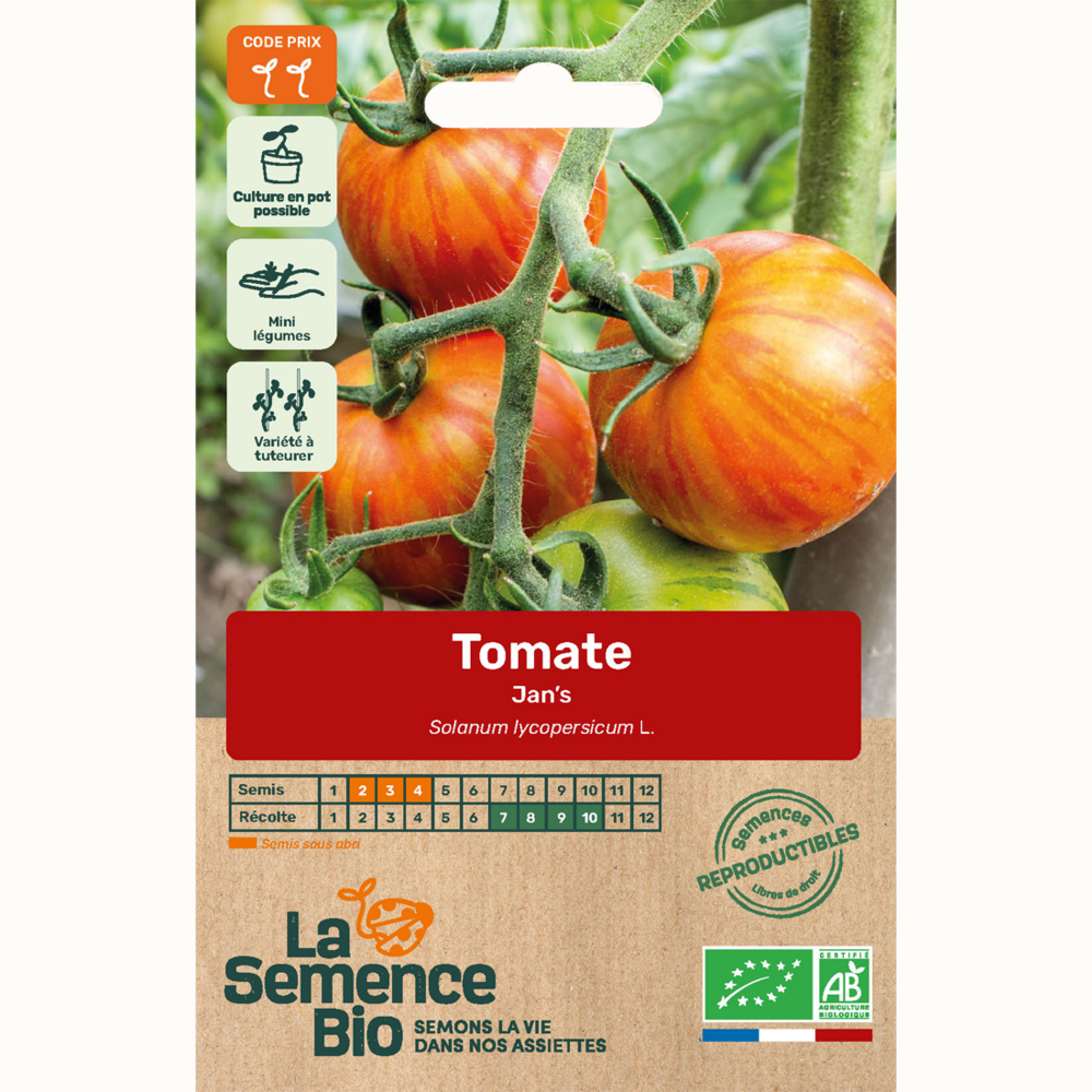 Tomate jan's bio