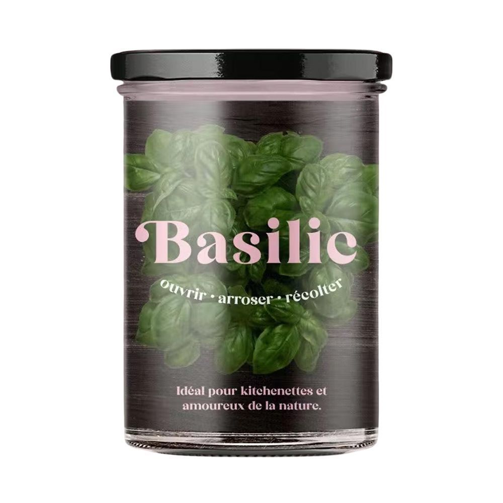 Resetea - potager de cuisine basilic en pot