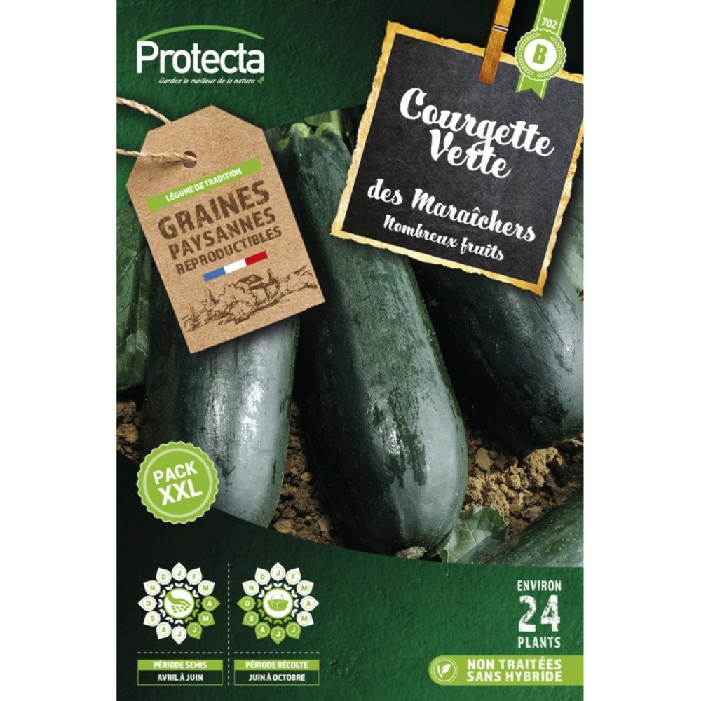 Graines paysannes - courgette verte maraichère xxl