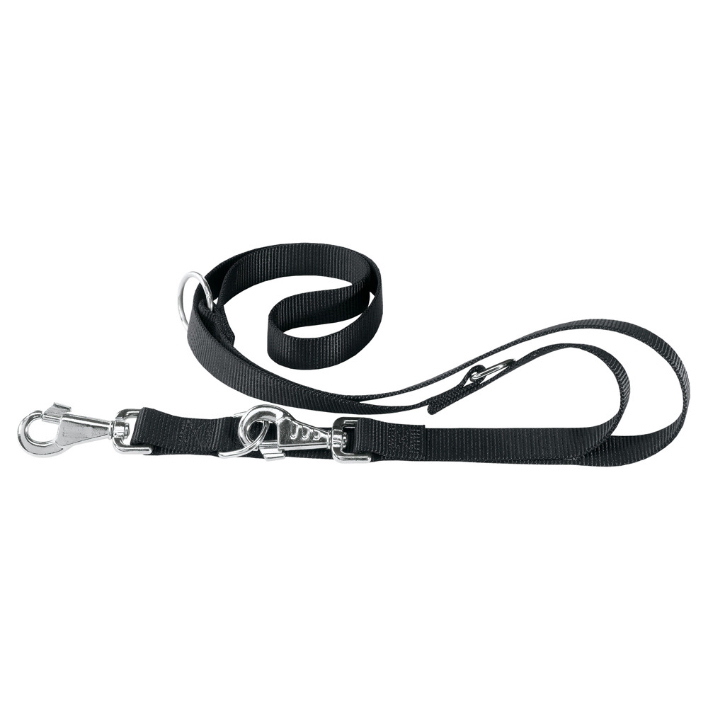 Laisse nylon dressage chiens modèle réglable ferplast club ga