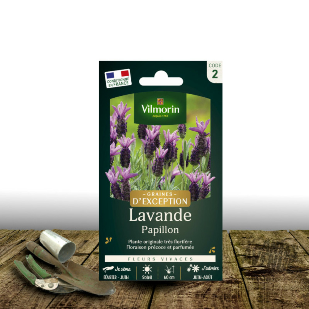 Graines de lavande papillon - vilmorin sachet